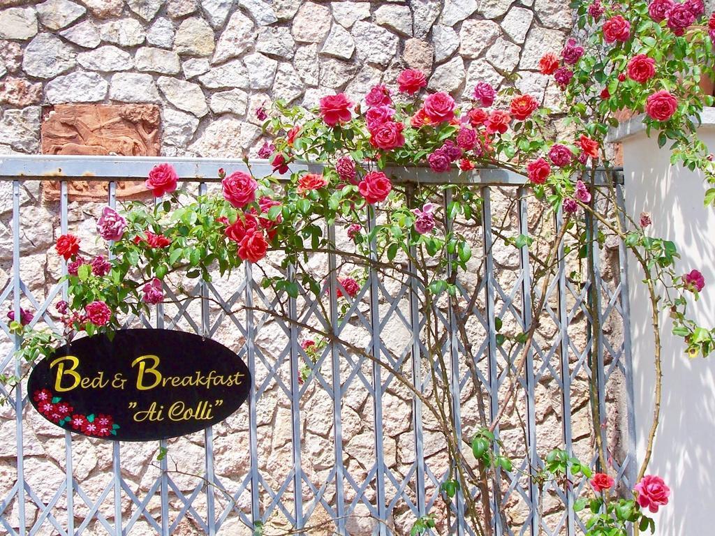 Ai Colli B&B Salò Pokój zdjęcie
